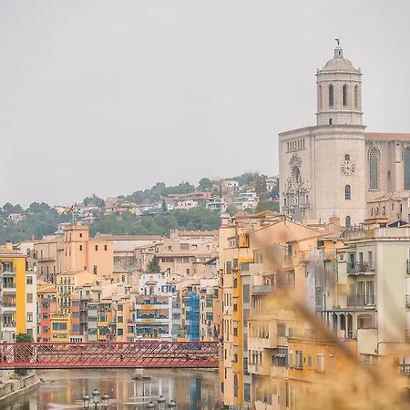 Apartamento Flateli Plaça Catalunya 1.1